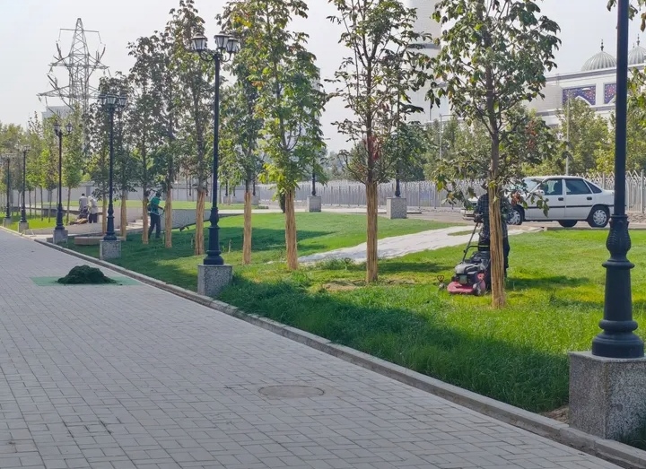 Аксияи экологӣ ва баргузории шанбегӣ дар Донишкадаи исломии Тоҷикистон